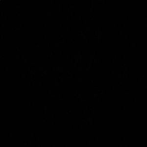 Meet your Posher, Dalia